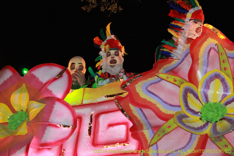 2014-Krewe-of-Endymion-11415