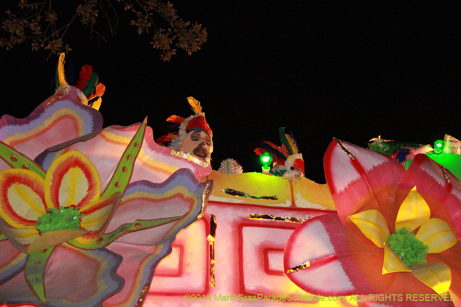 2014-Krewe-of-Endymion-11419