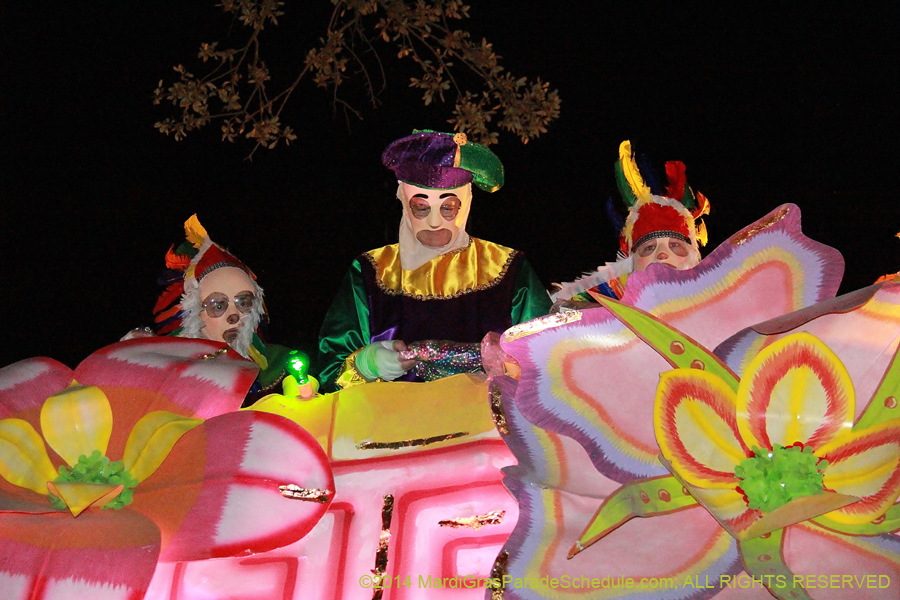 2014-Krewe-of-Endymion-11420