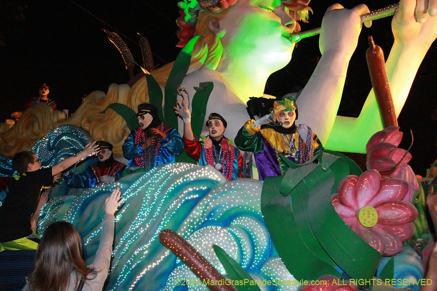 2014-Krewe-of-Endymion-11437