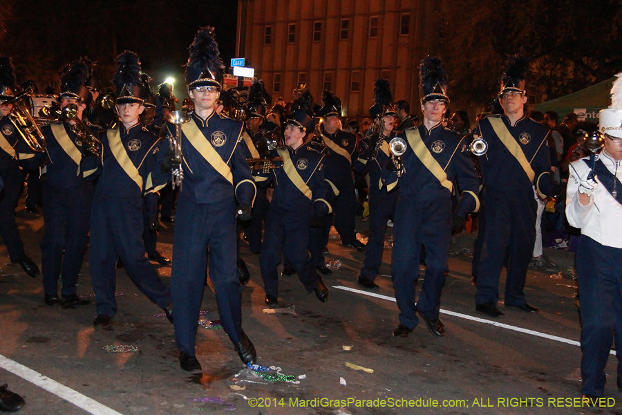 2014-Krewe-of-Endymion-11450