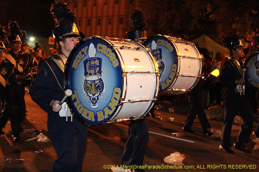 2014-Krewe-of-Endymion-11453