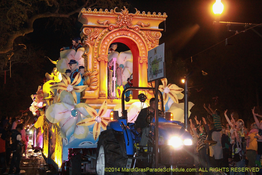 2014-Krewe-of-Endymion-11472