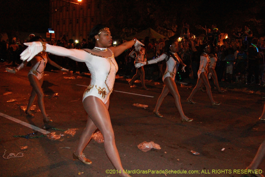 2014-Krewe-of-Endymion-11490