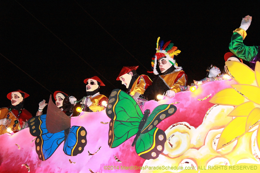 2014-Krewe-of-Endymion-11502