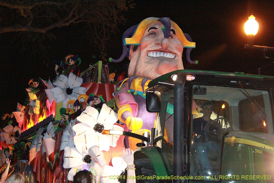 2014-Krewe-of-Endymion-11528