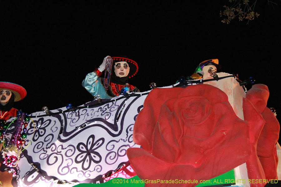 2014-Krewe-of-Endymion-11555