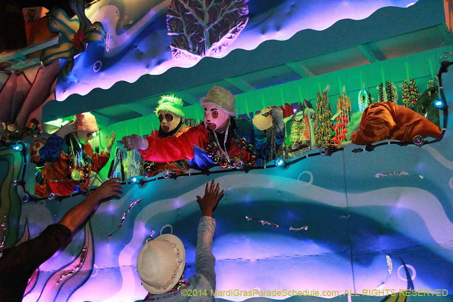 2014-Krewe-of-Endymion-11578