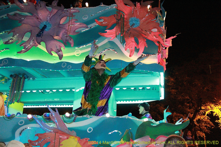 2014-Krewe-of-Endymion-11585