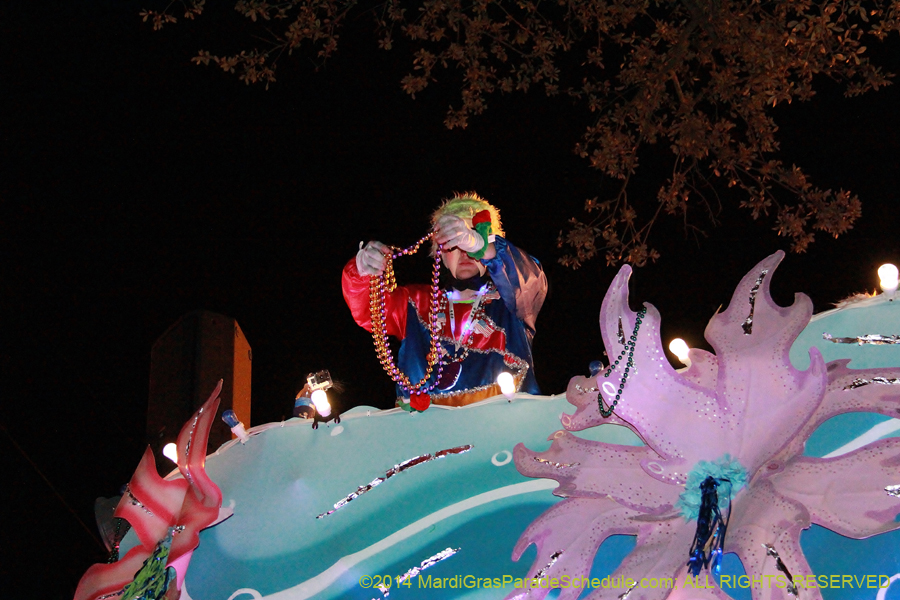 2014-Krewe-of-Endymion-11590