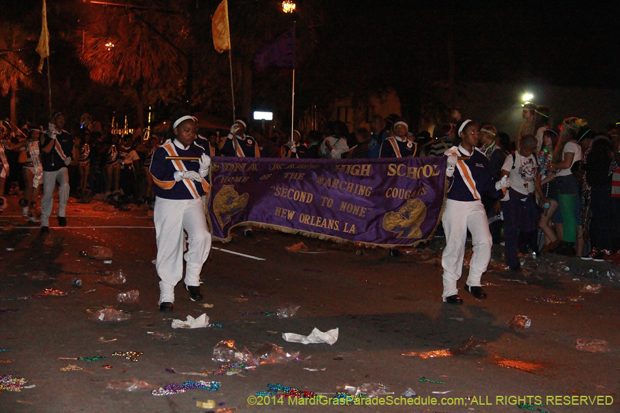 2014-Krewe-of-Endymion-11600