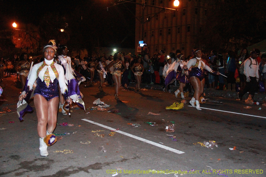 2014-Krewe-of-Endymion-11606