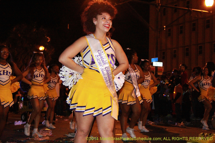 2014-Krewe-of-Endymion-11609