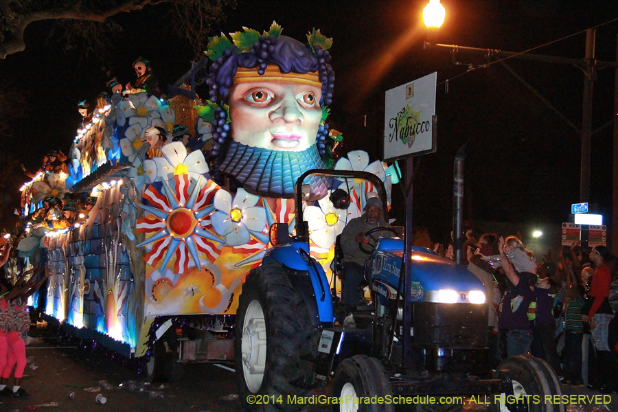 2014-Krewe-of-Endymion-11610