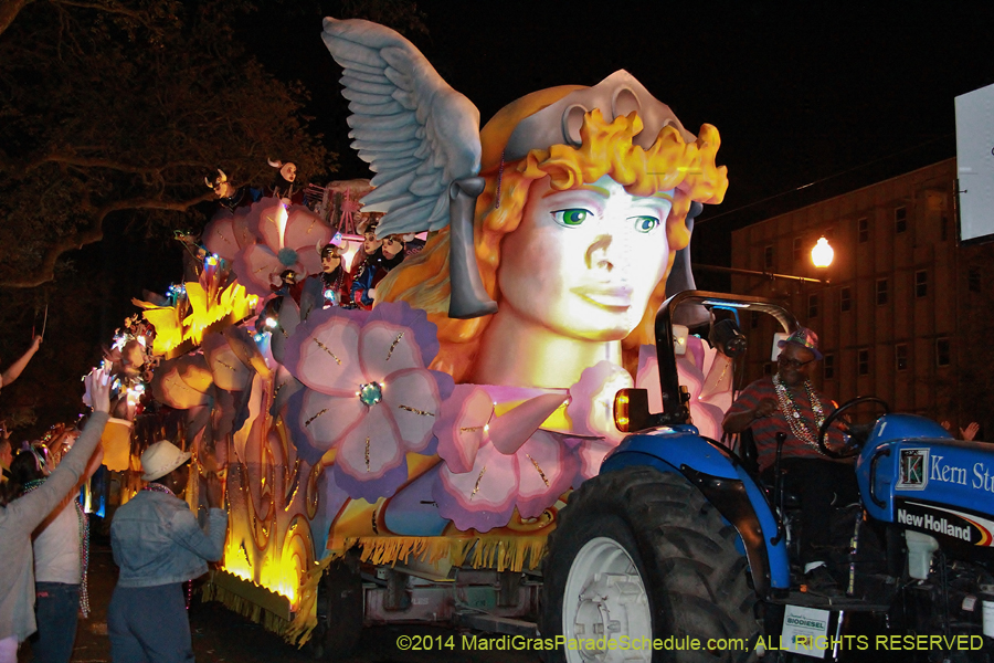 2014-Krewe-of-Endymion-11630