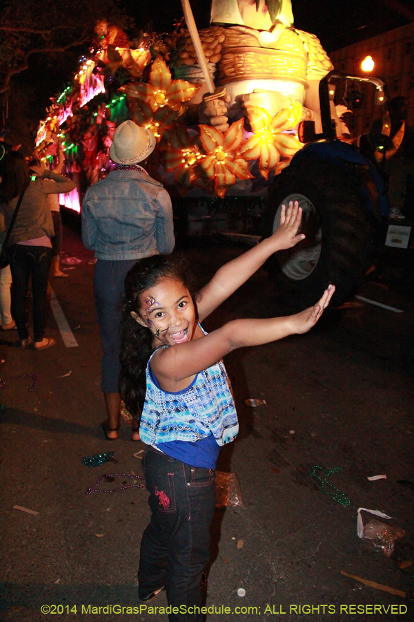 2014-Krewe-of-Endymion-11654