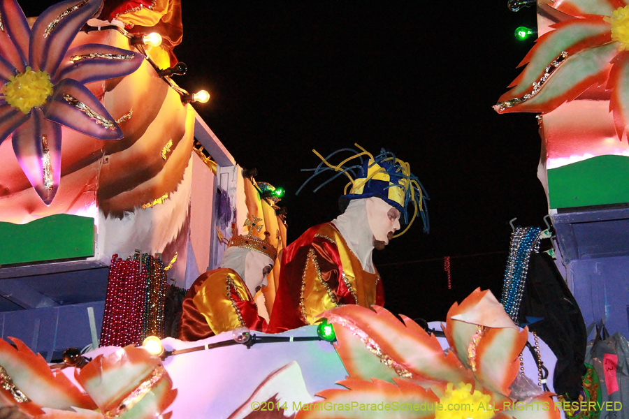 2014-Krewe-of-Endymion-11660