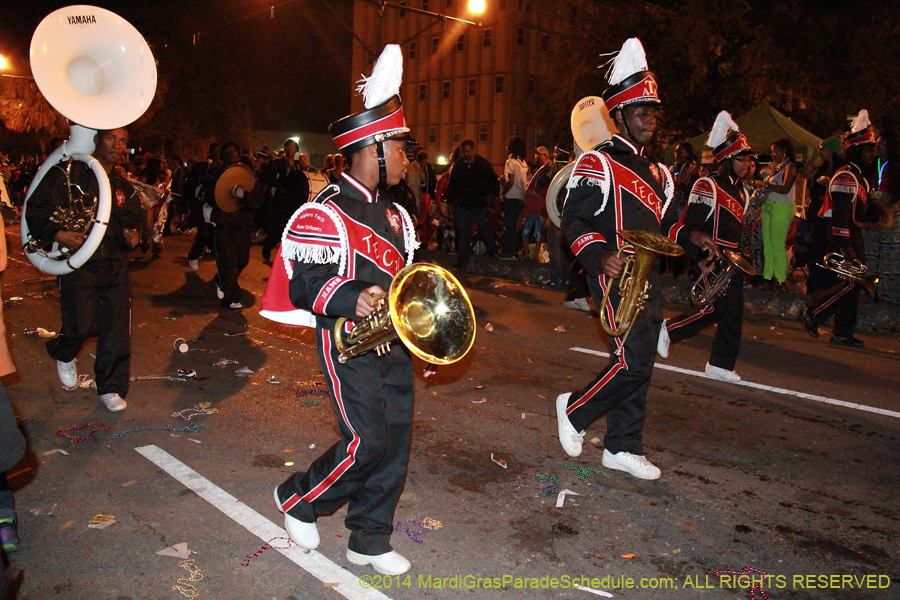 2014-Krewe-of-Endymion-11700