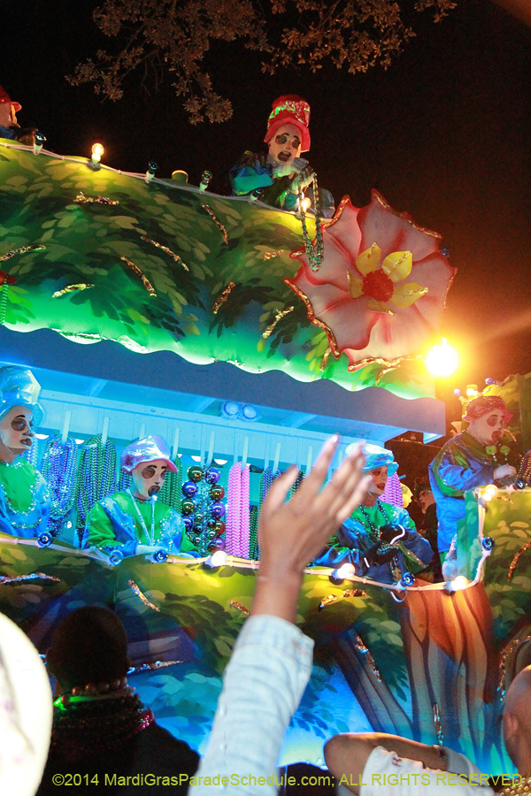 2014-Krewe-of-Endymion-11738