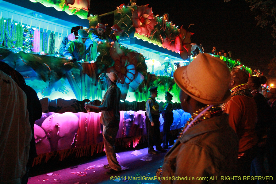 2014-Krewe-of-Endymion-11742