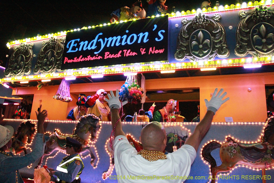 2014-Krewe-of-Endymion-11757