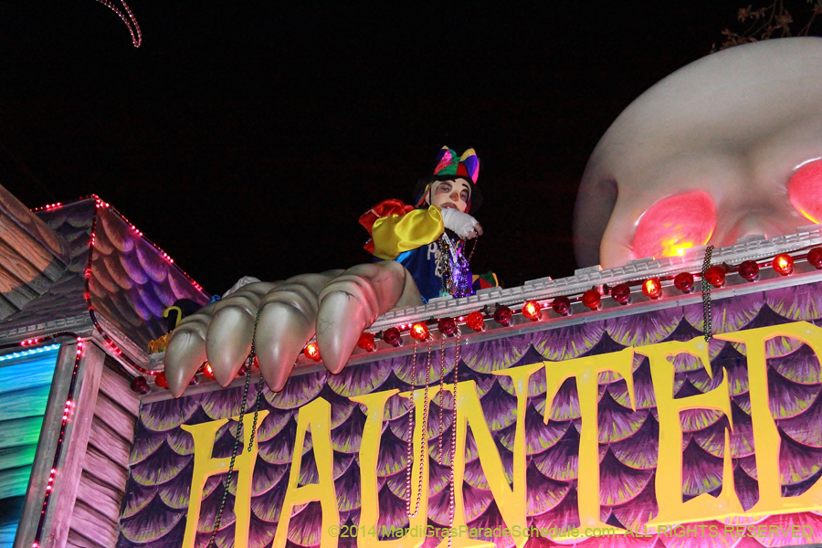 2014-Krewe-of-Endymion-11772