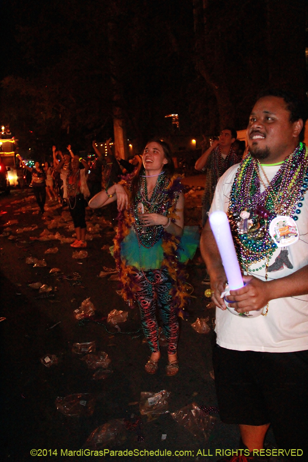 2014-Krewe-of-Endymion-11795