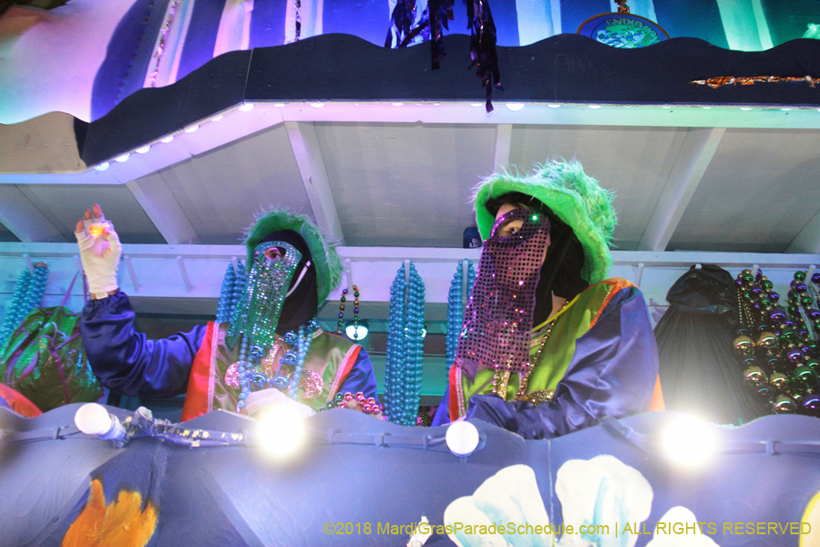 2018-Krewe-of-Endymion-00006591