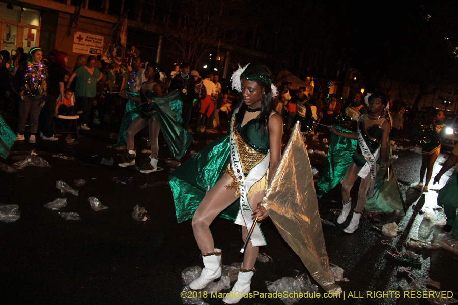 2018-Krewe-of-Endymion-00006659