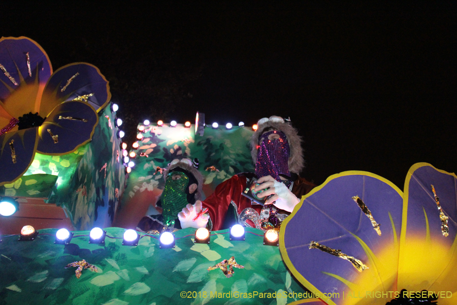 2018-Krewe-of-Endymion-00006715