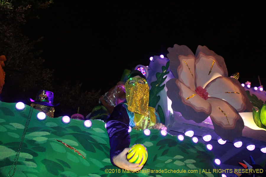 2018-Krewe-of-Endymion-00006732