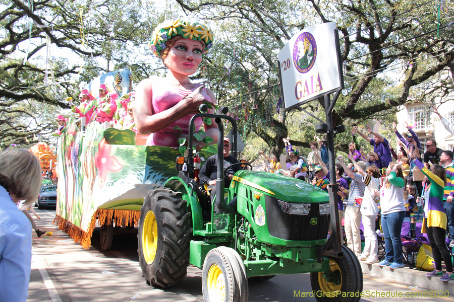 Krewe-of-Okeanos-2020-07584