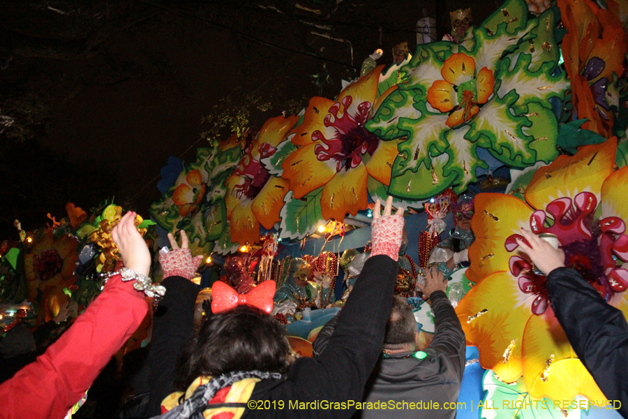 Krewe-of-Orpheus-2019-009899