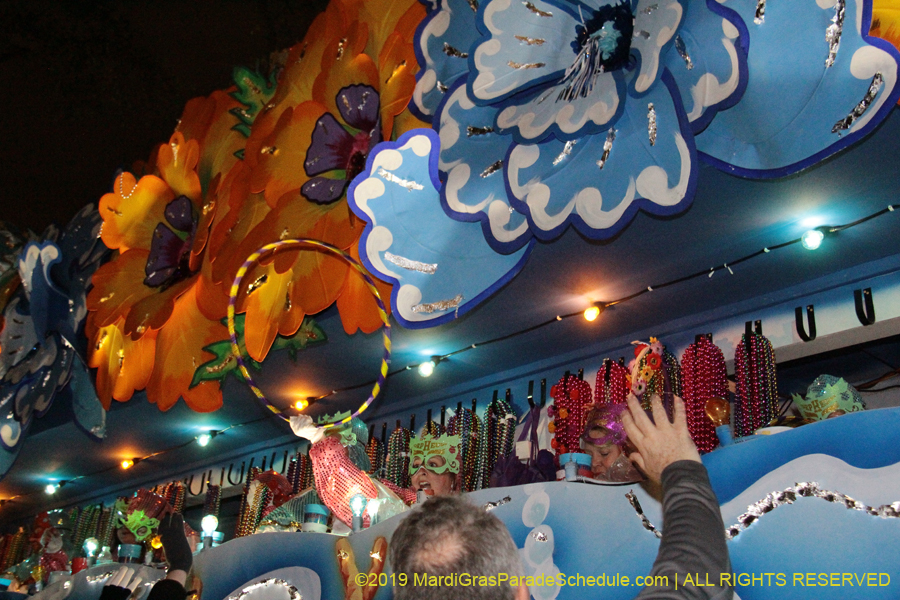 Krewe-of-Orpheus-2019-009904