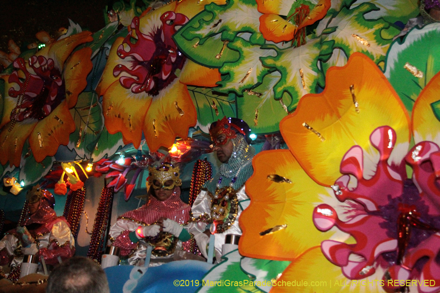 Krewe-of-Orpheus-2019-009908