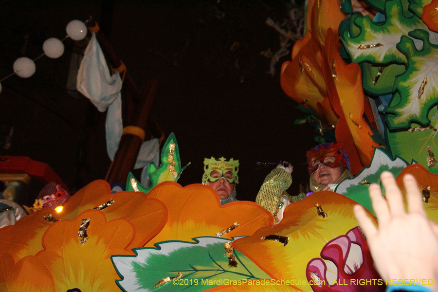 Krewe-of-Orpheus-2019-009910