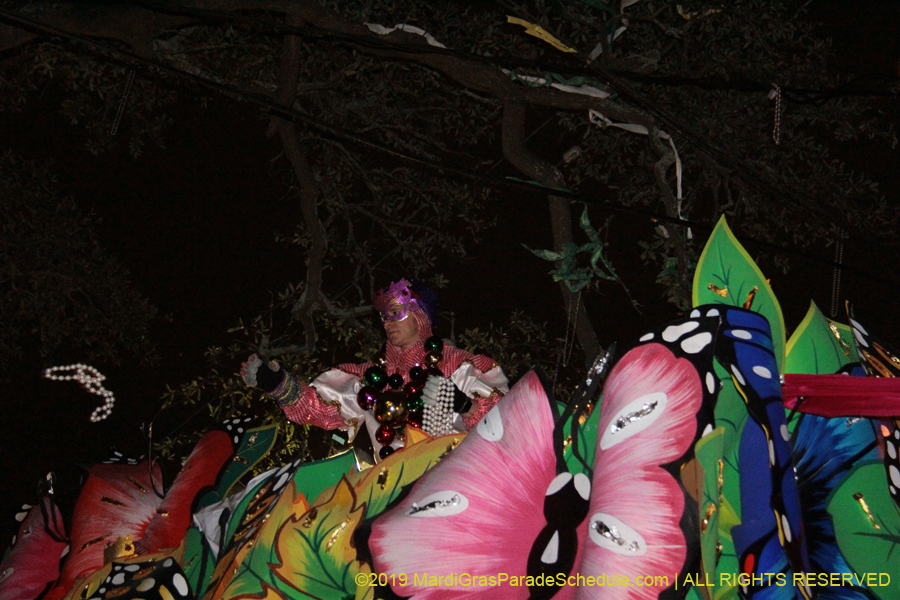 Krewe-of-Orpheus-2019-009933