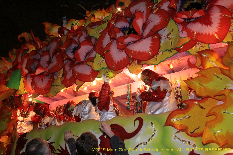 Krewe-of-Orpheus-2019-009943