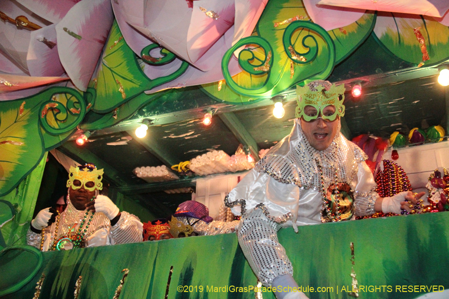 Krewe-of-Orpheus-2019-009992