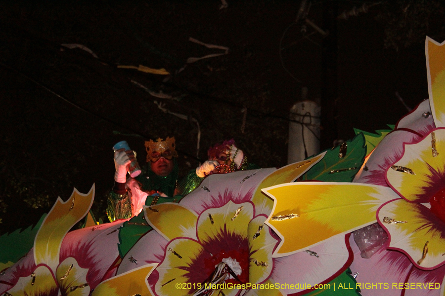 Krewe-of-Orpheus-2019-010027